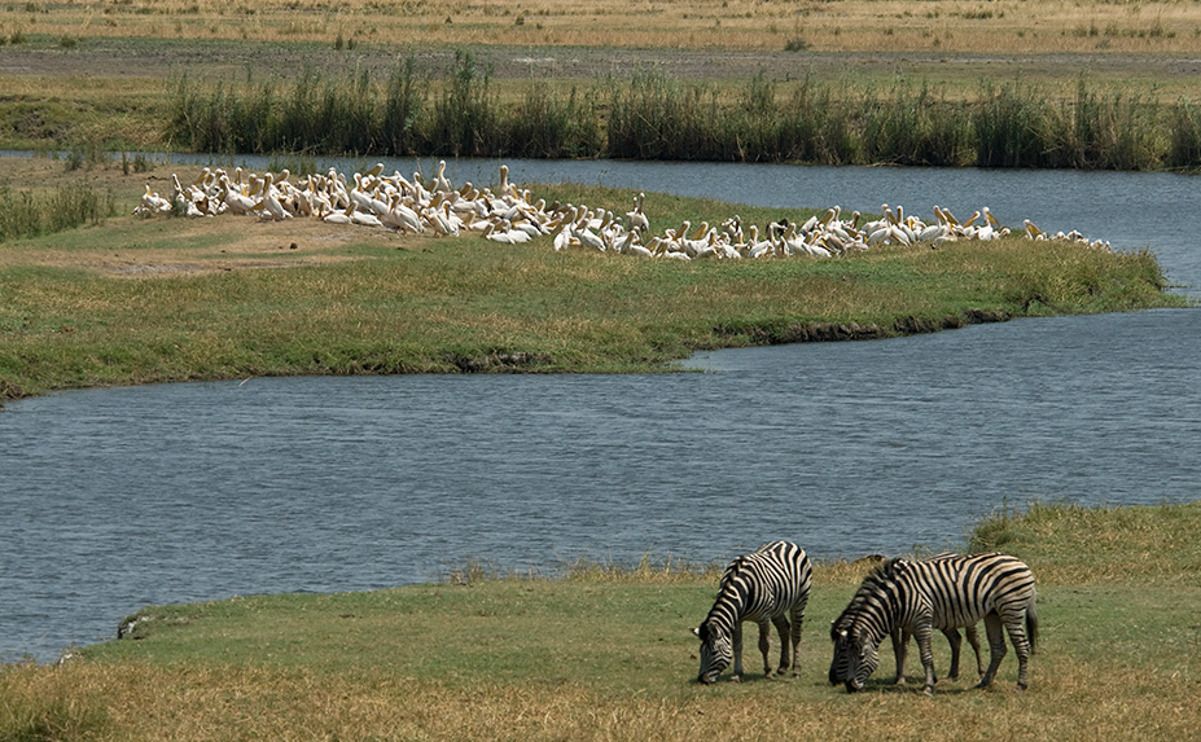 08 chobe river