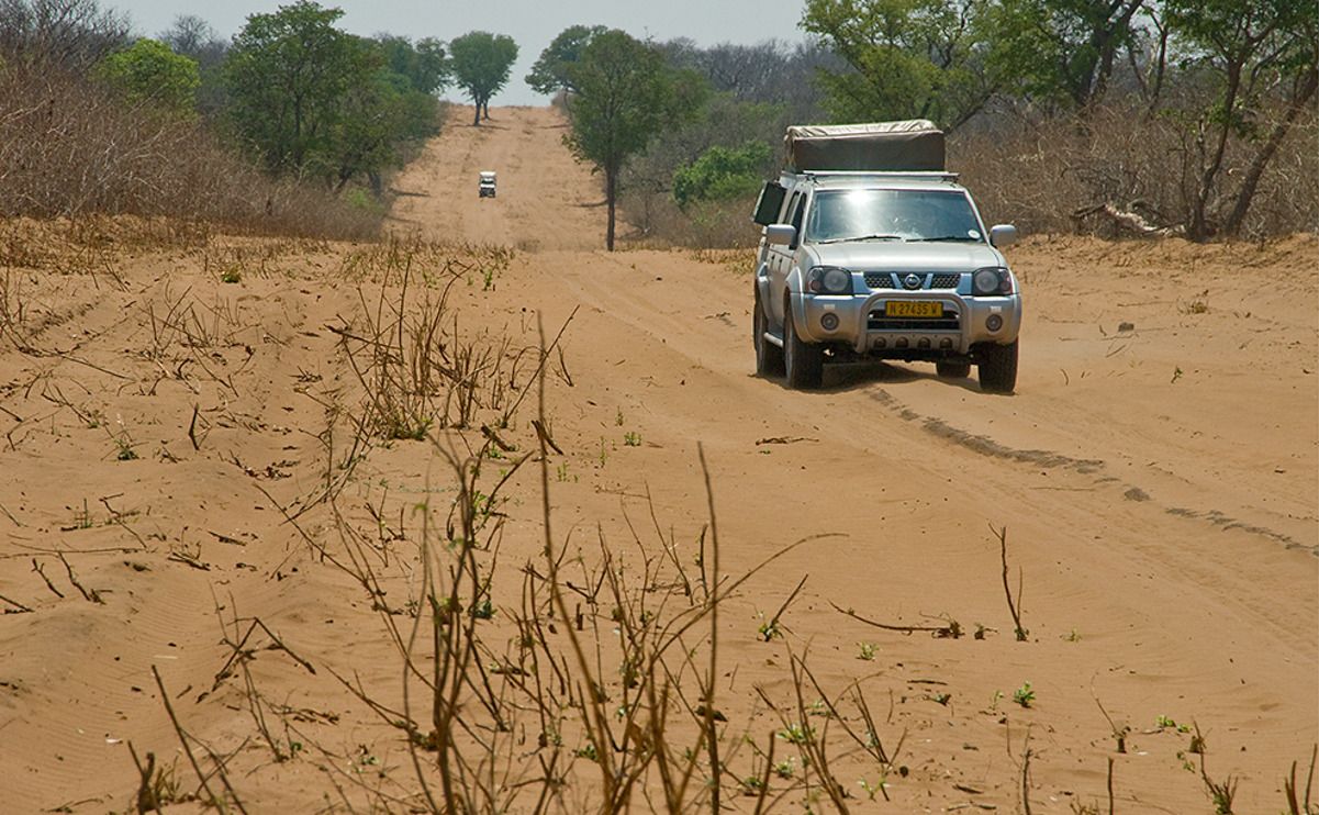 09 savuti