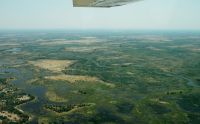 11 okavango delta
