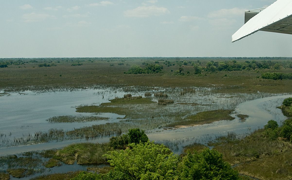 11 okavango delta