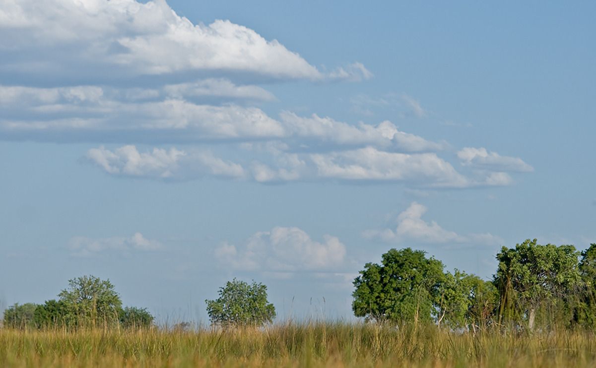 11 okavango delta