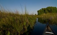 11 okavango delta