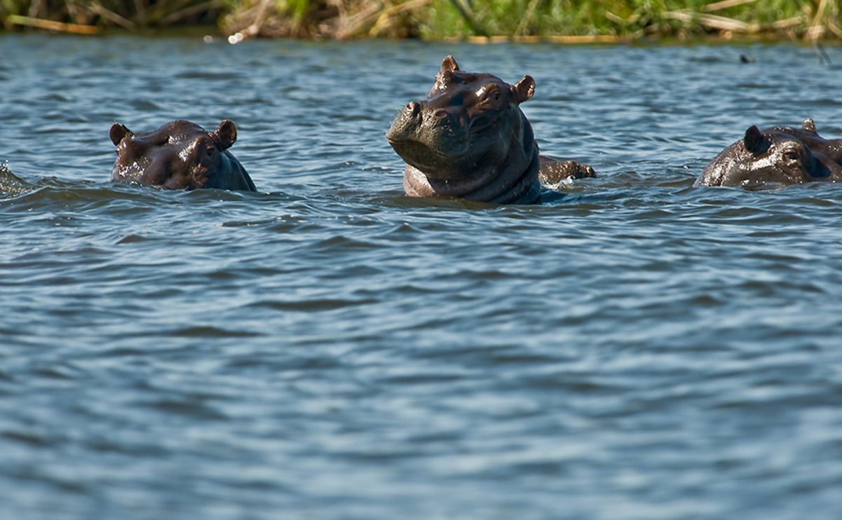 11 okavango delta