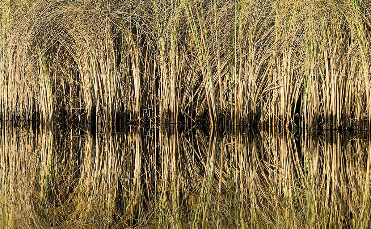 11 okavango delta