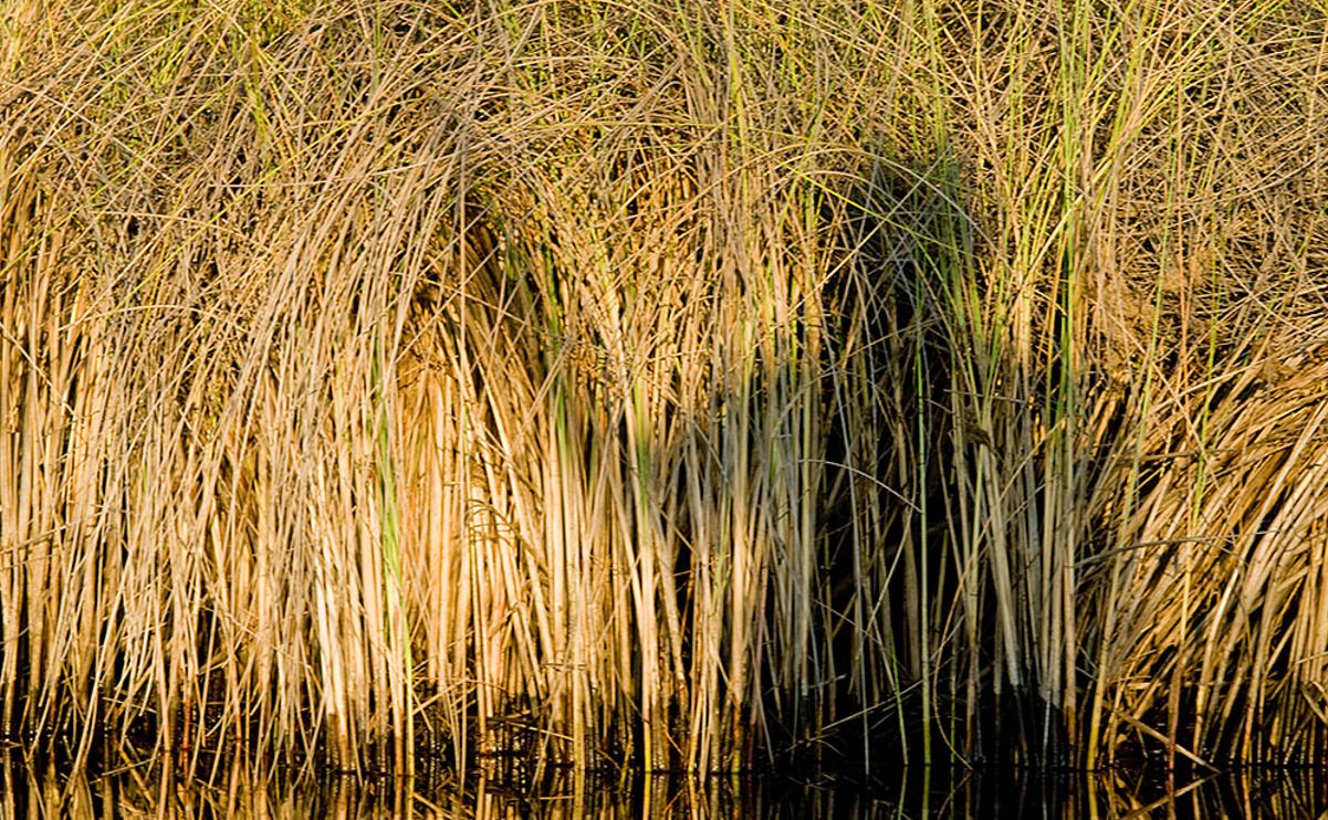11 okavango delta