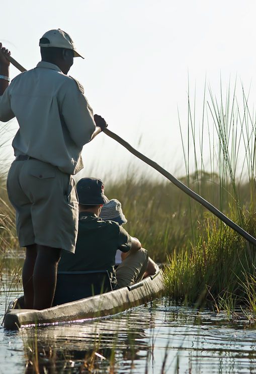 11 okavango delta