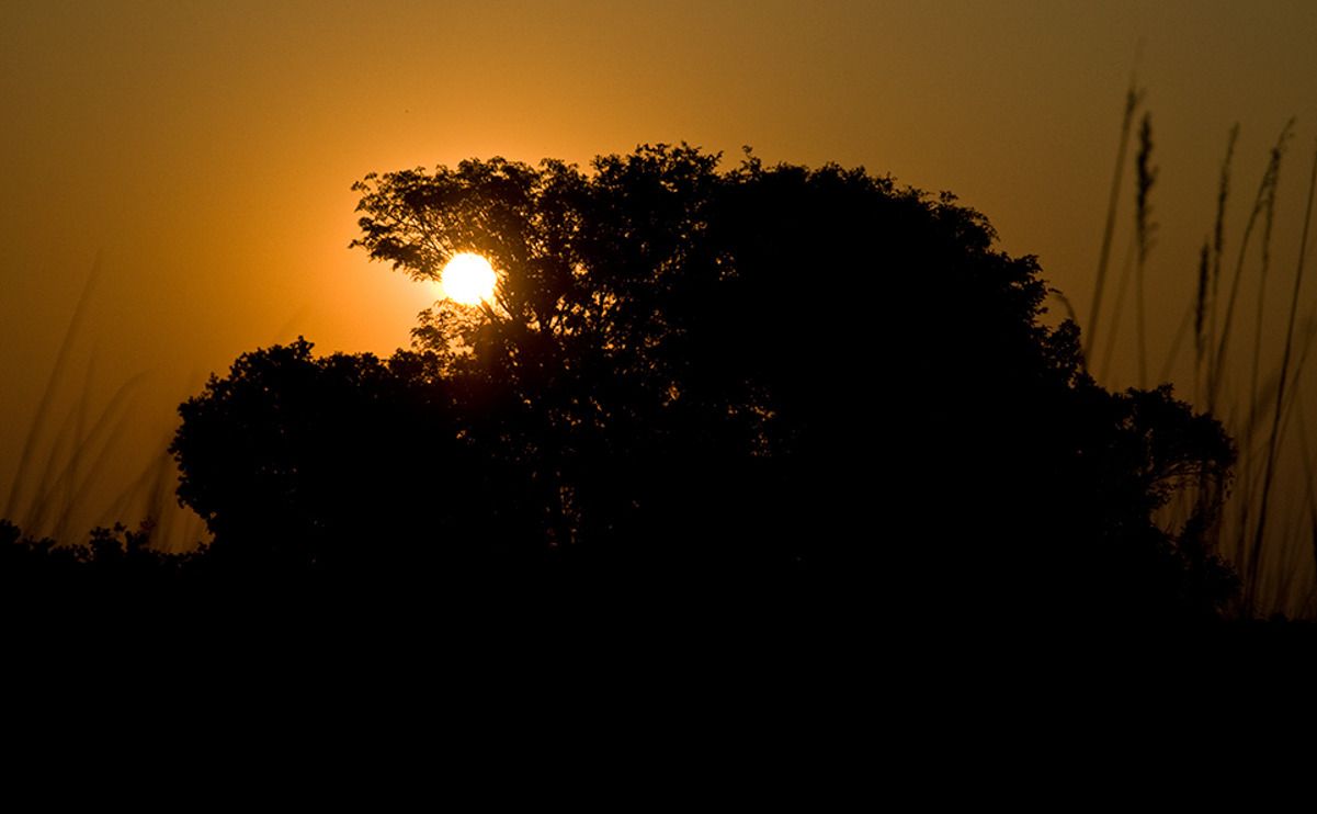 11 okavango delta