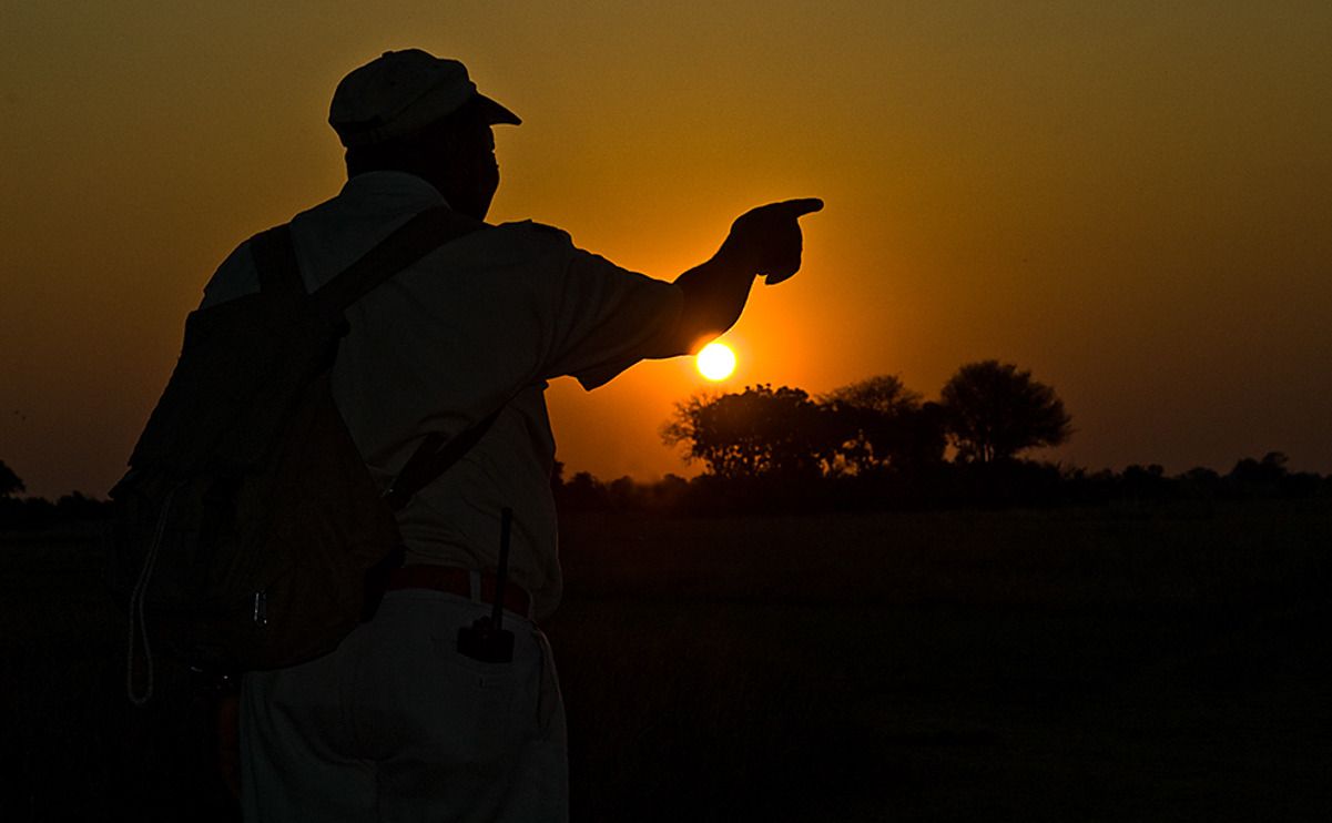 11 okavango delta
