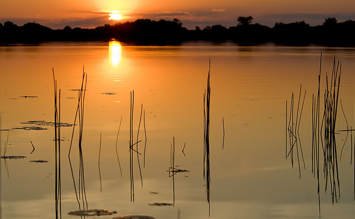 11 okavango delta