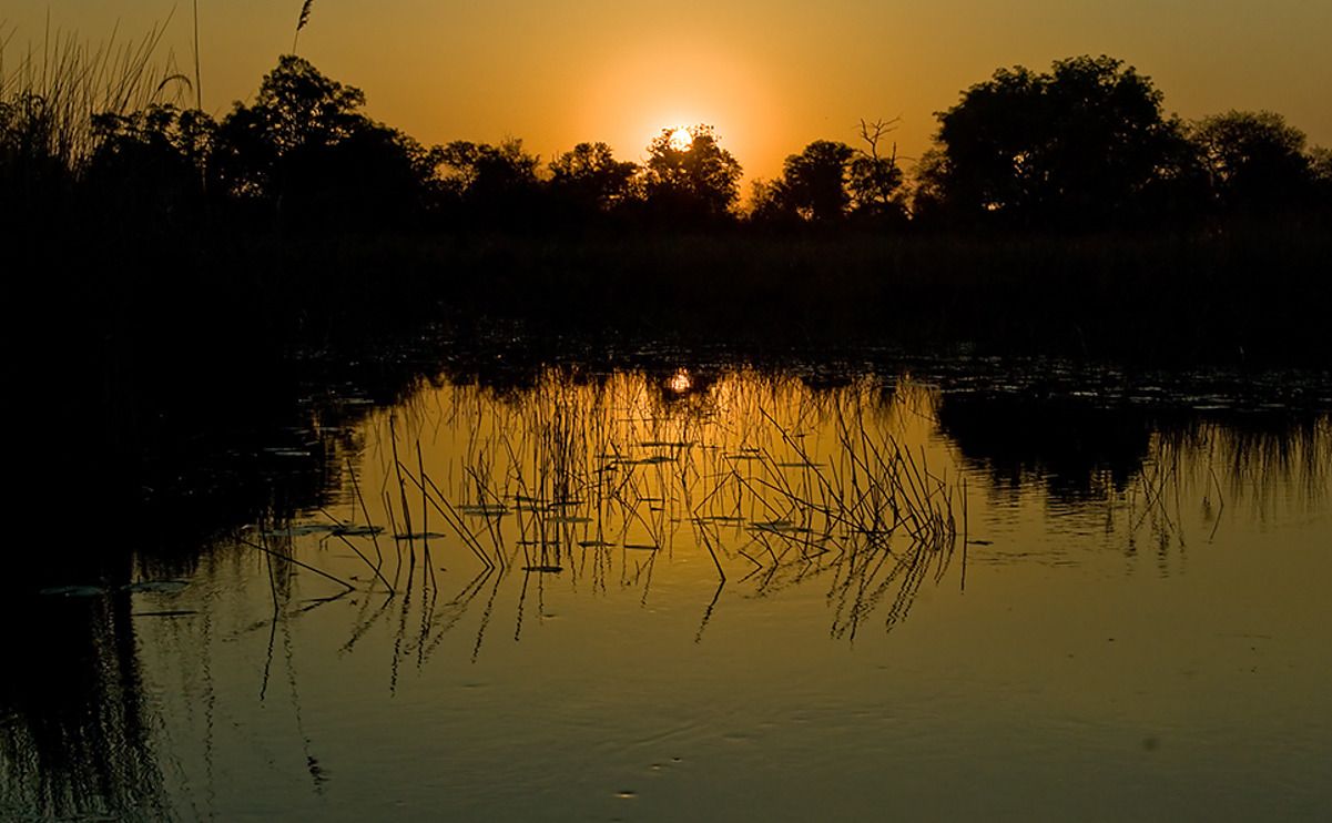 11 okavango delta