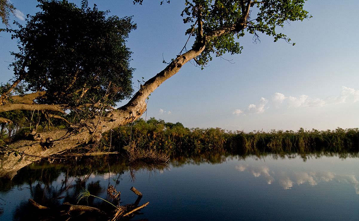 11 okavango delta