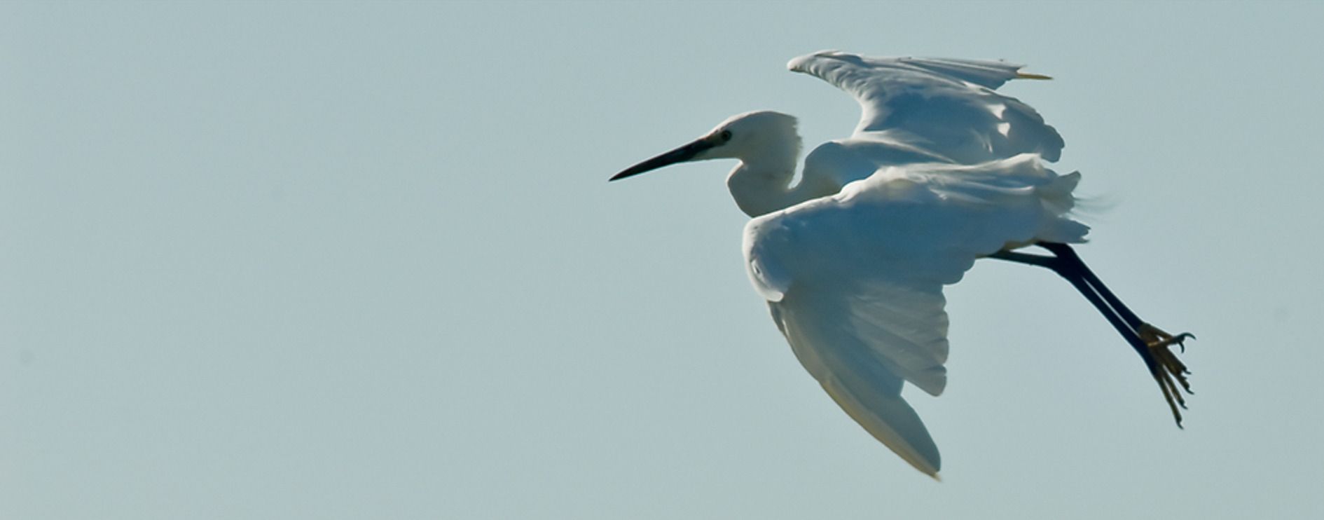 11 okavango delta