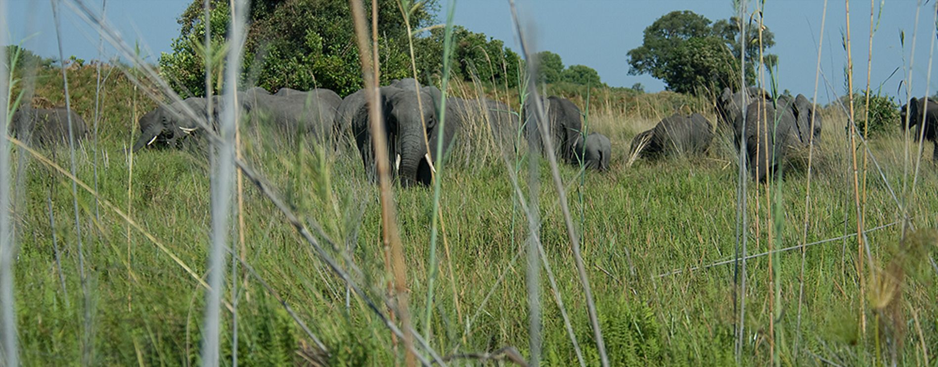 11 okavango delta