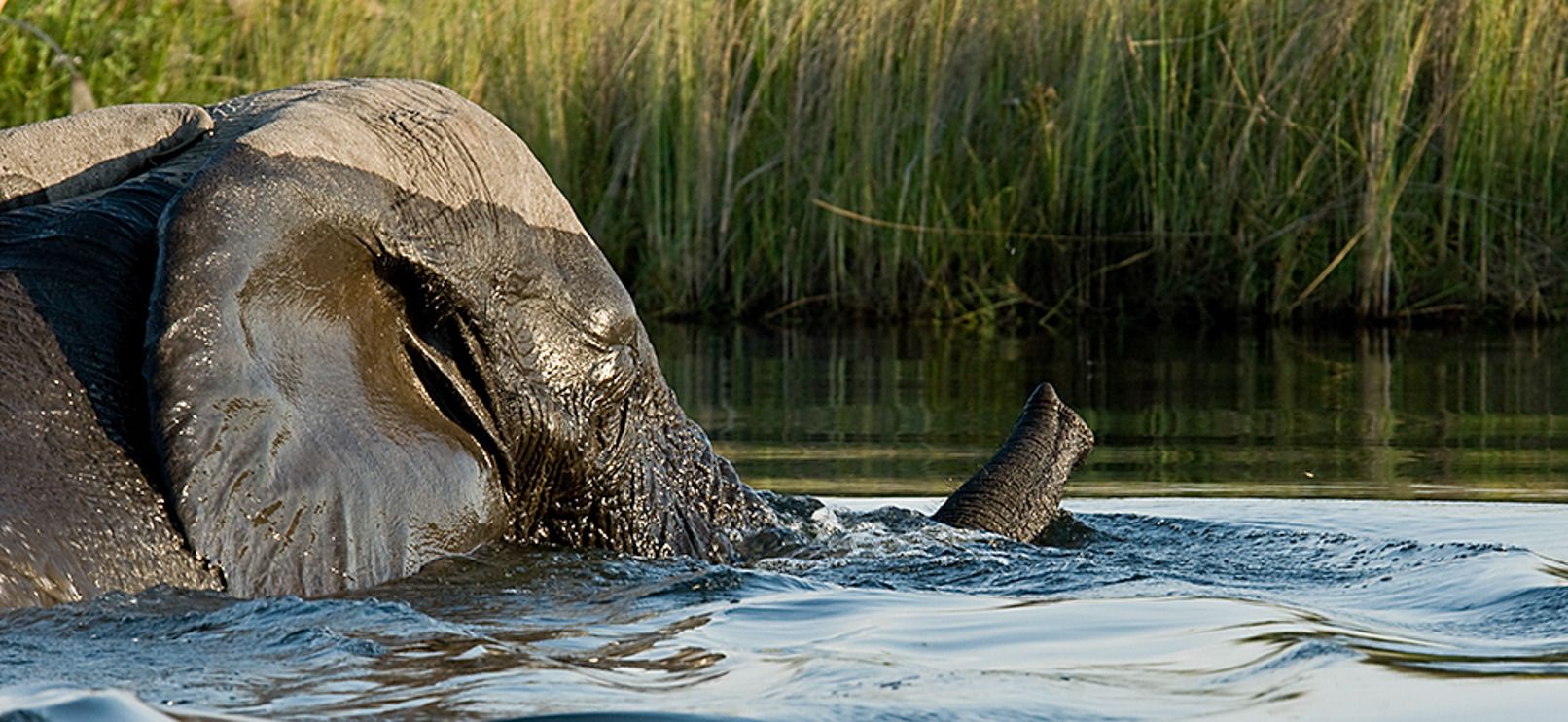 11 okavango delta
