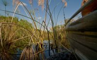 11 okavango delta