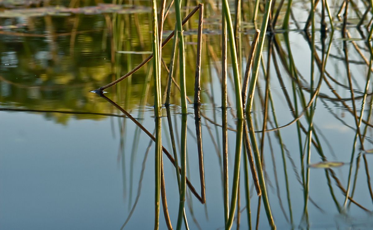 11 okavango delta