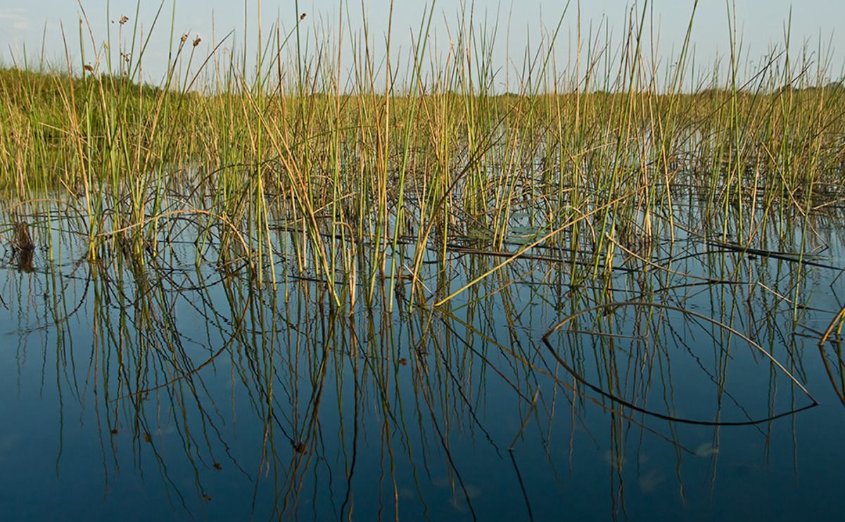 11 okavango delta