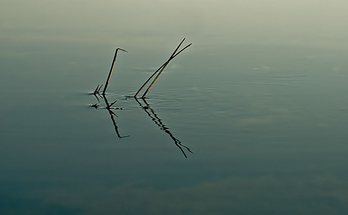 11 okavango delta