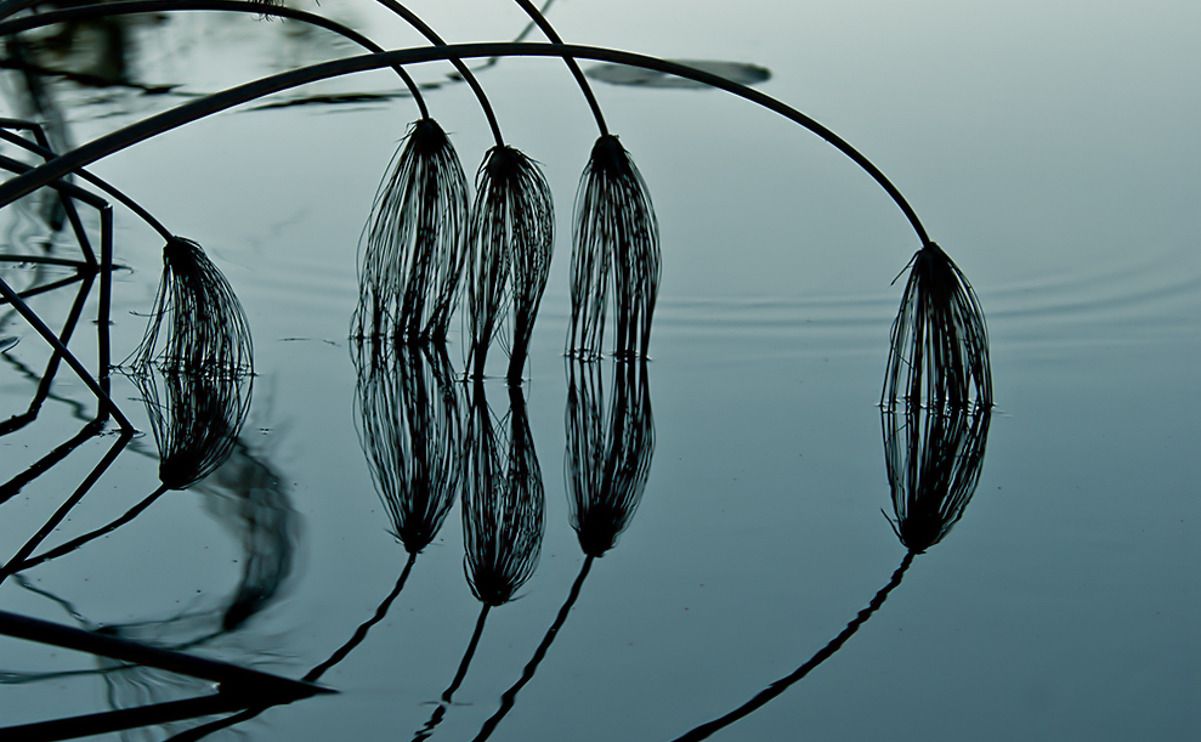 11 okavango delta