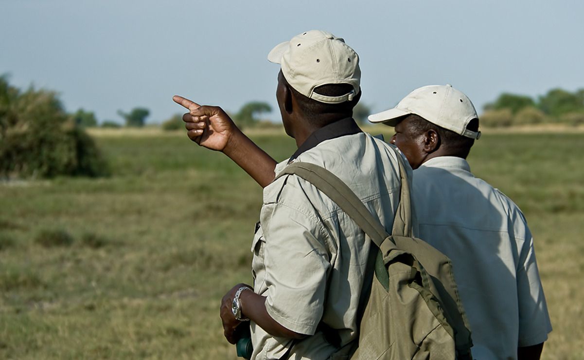 11 okavango delta