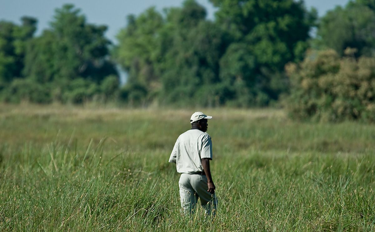 11 okavango delta