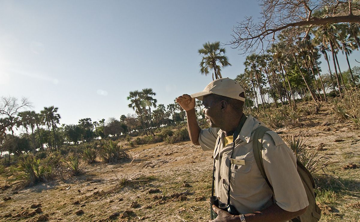 11 okavango delta