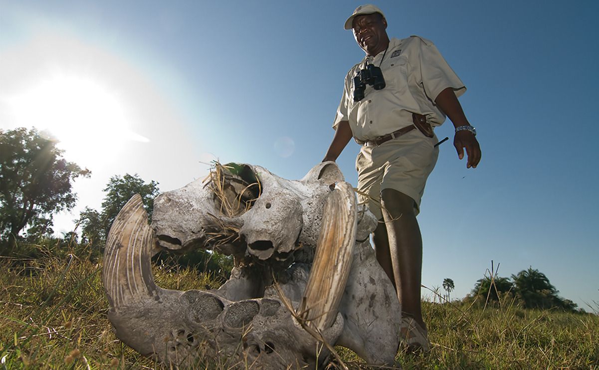 11 okavango delta