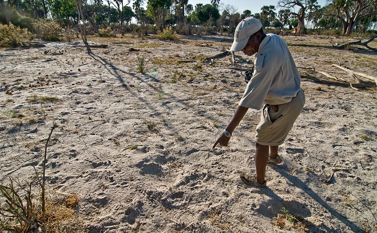 11 okavango delta