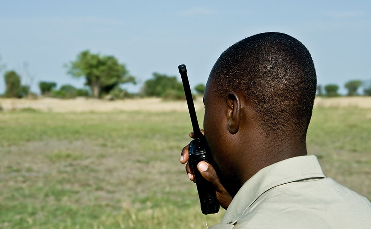 11 okavango delta