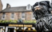0011 edinburgh