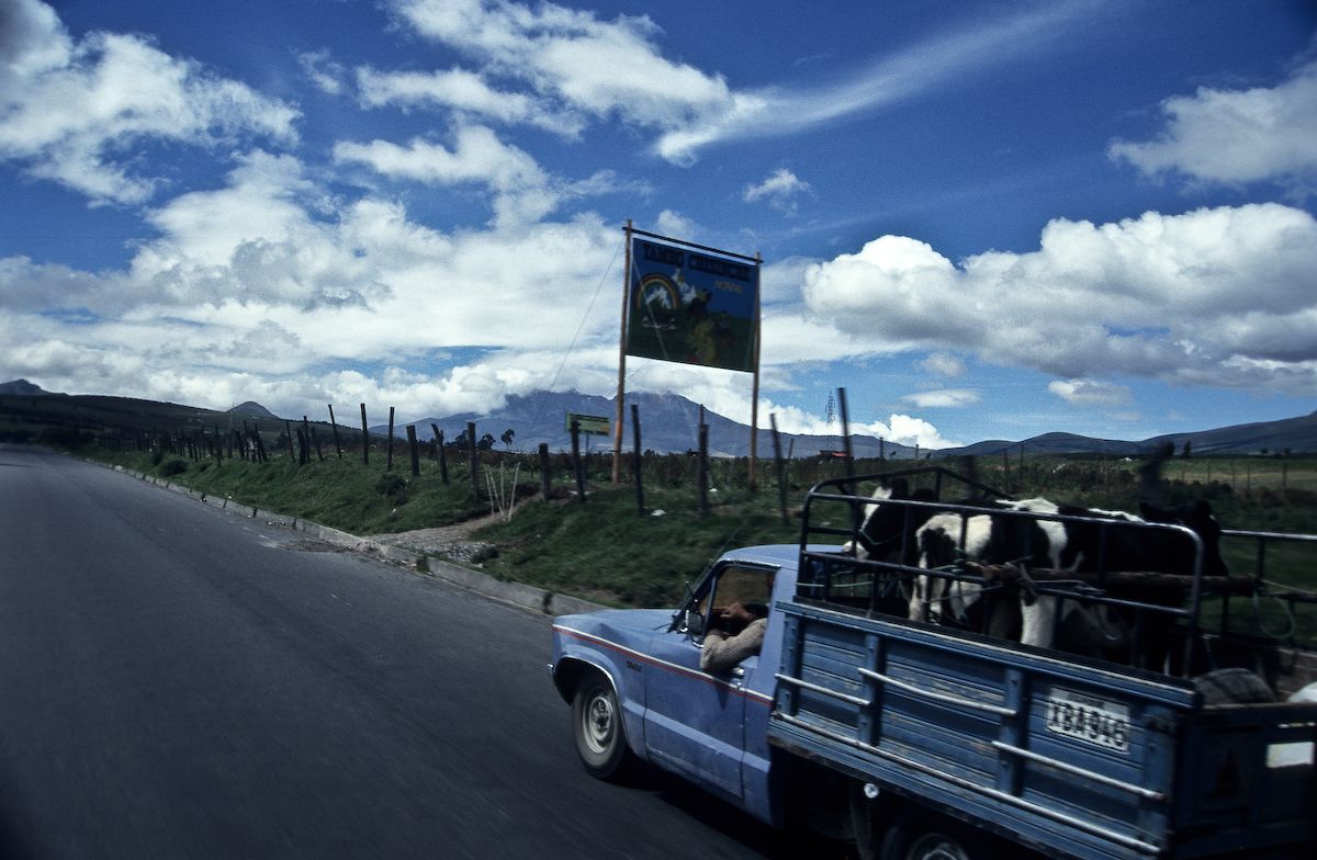 equador 1995