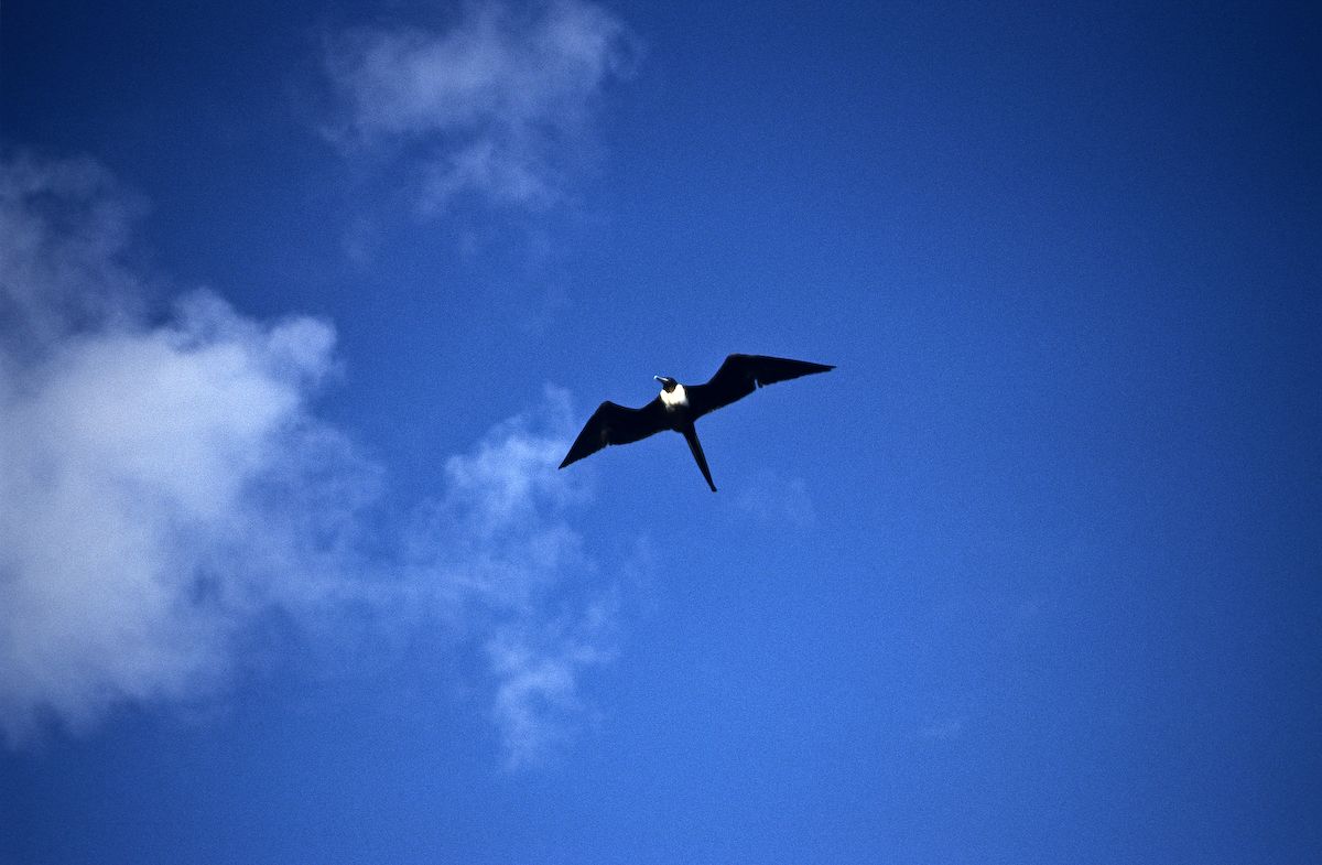 equador5