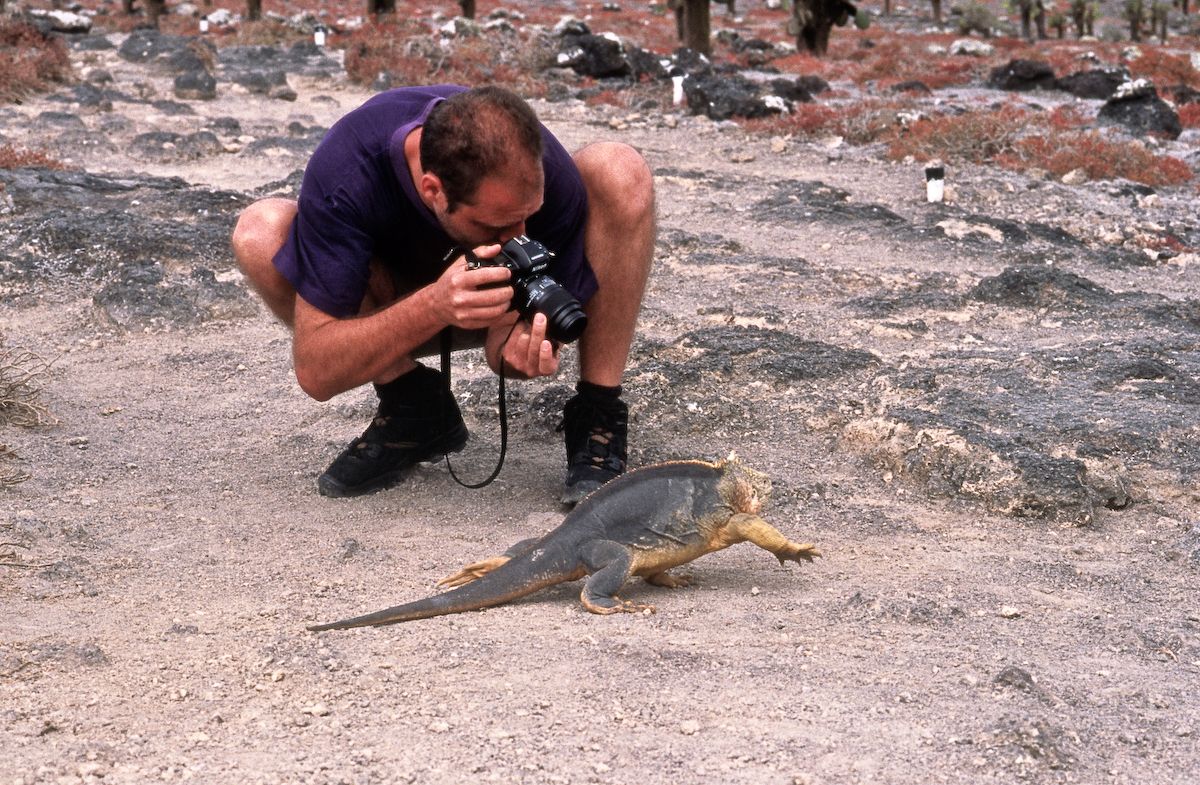 equador 1995