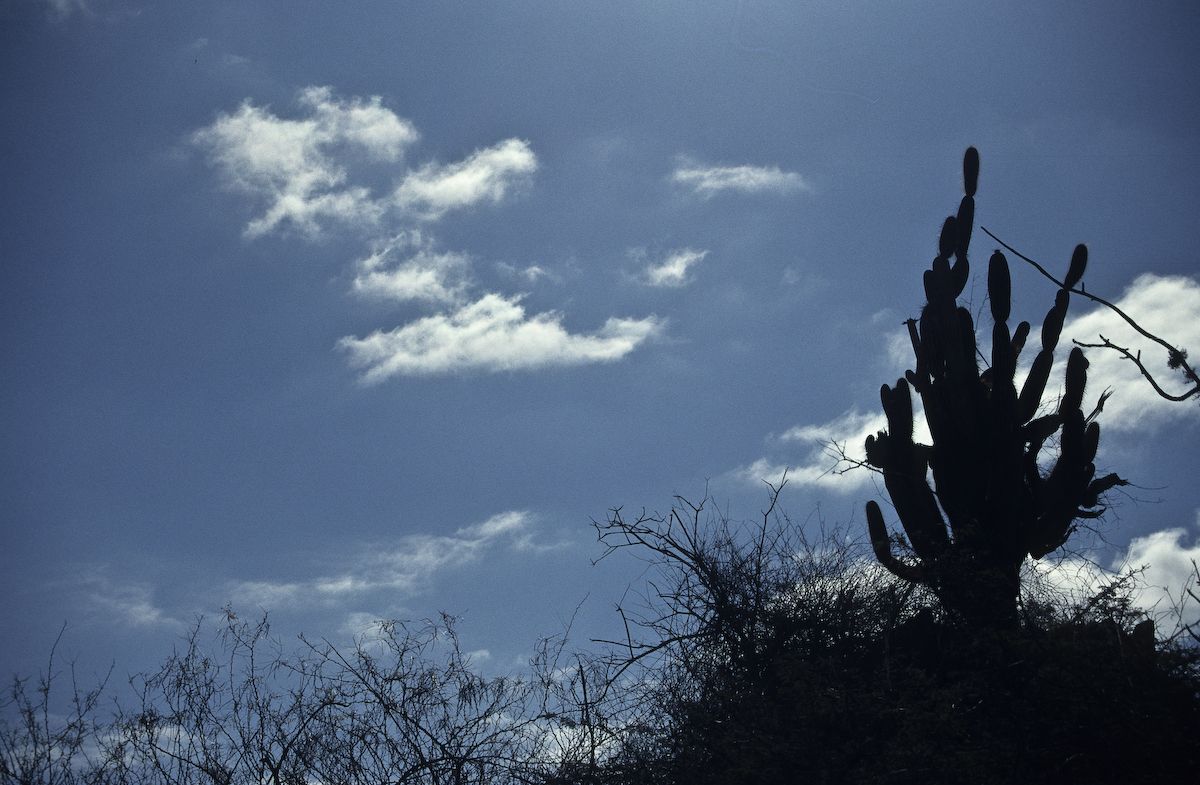 equador 1995