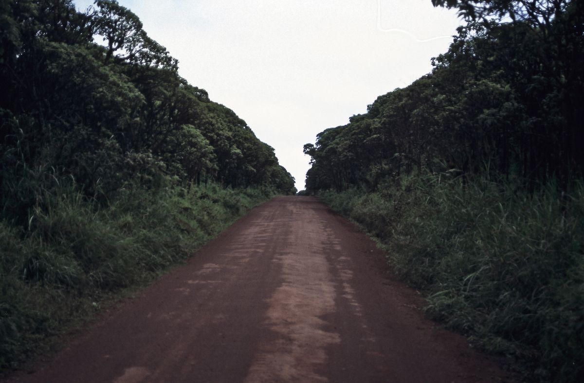 equador 1995