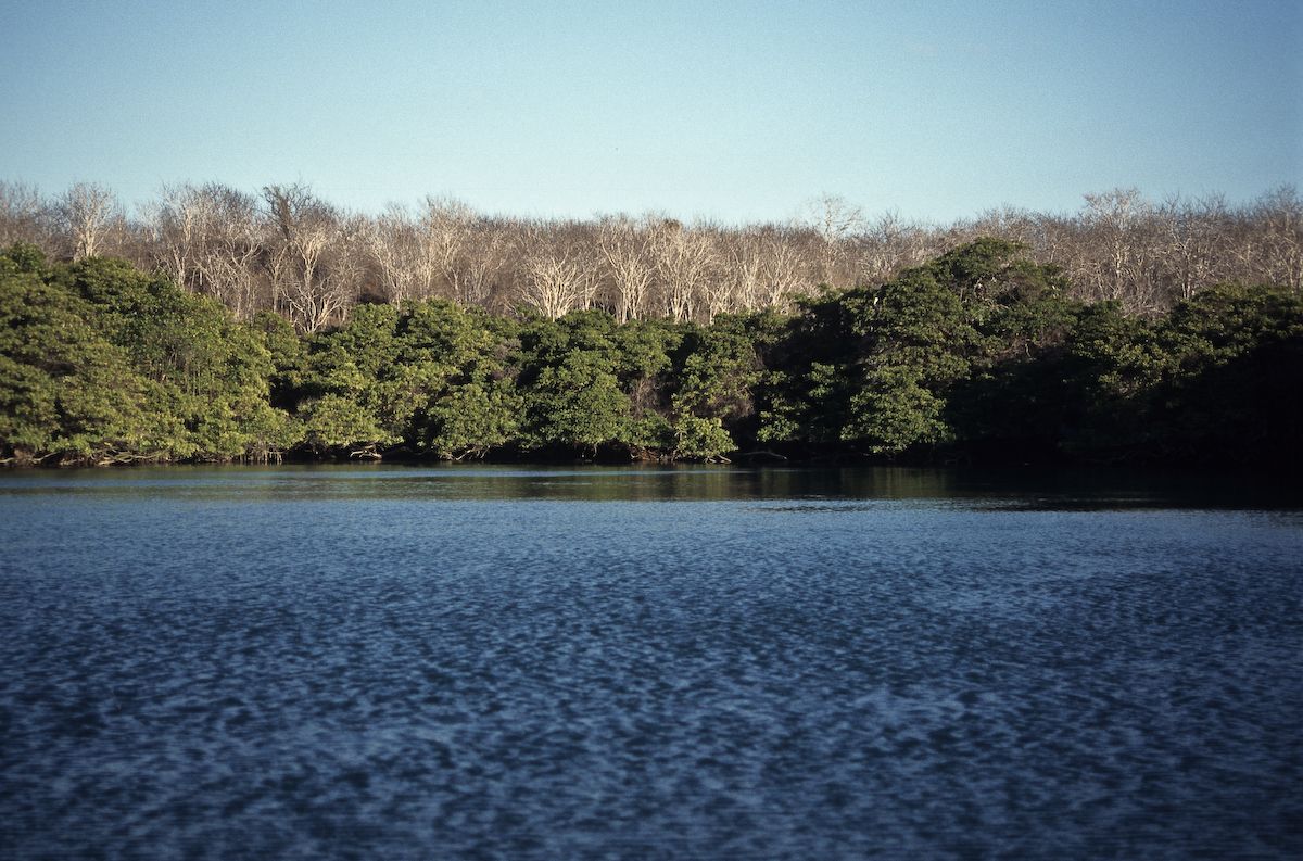 equador 1995