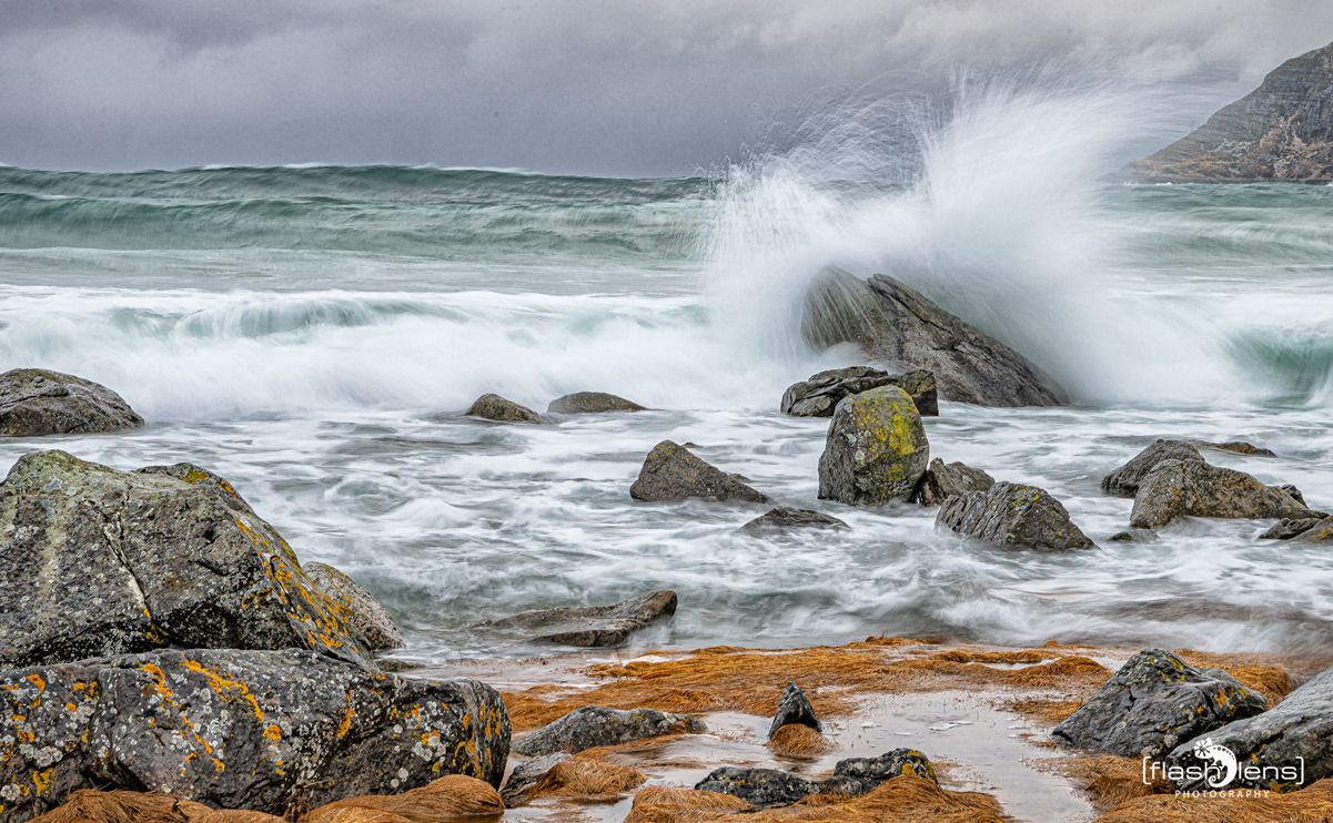lofoten 2023