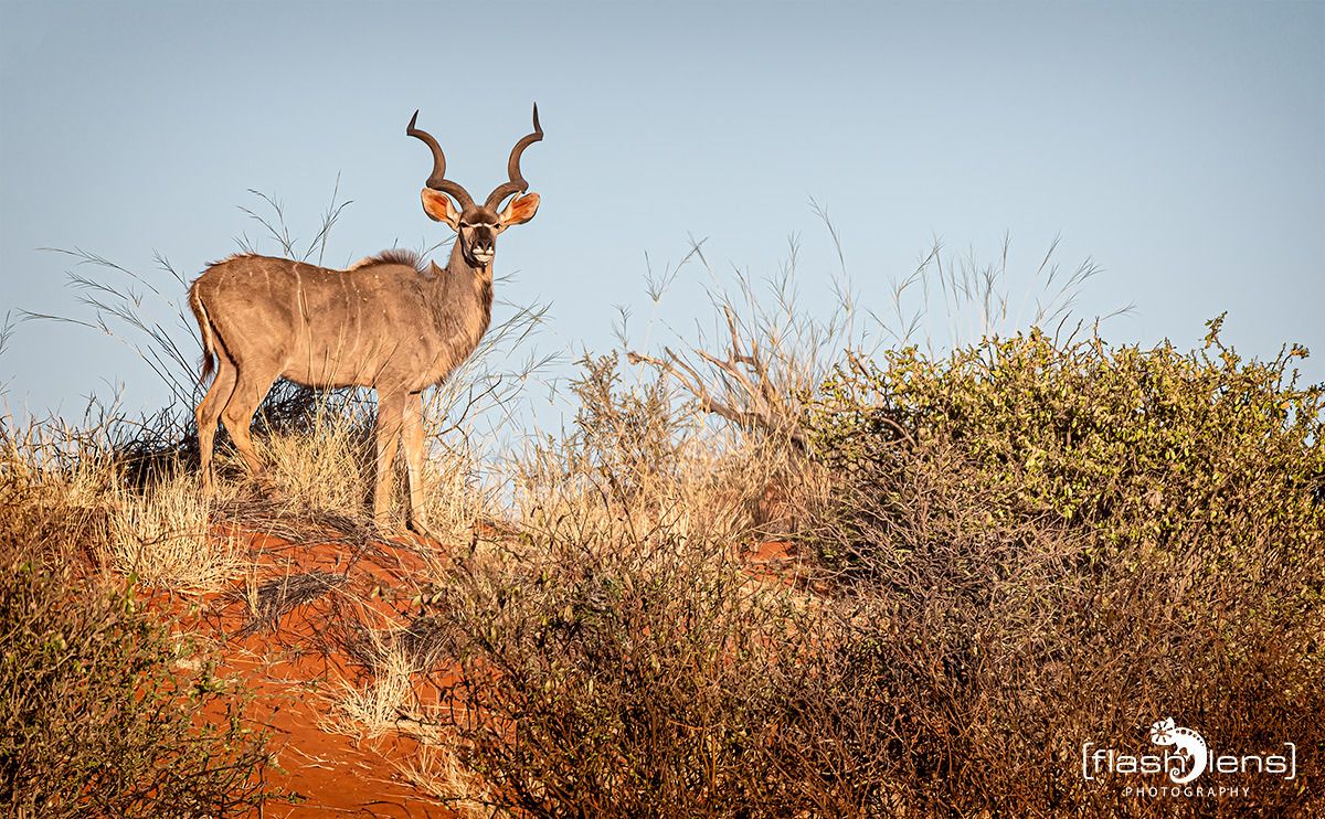 01 mariental