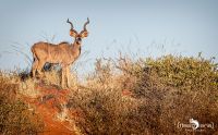 01 mariental