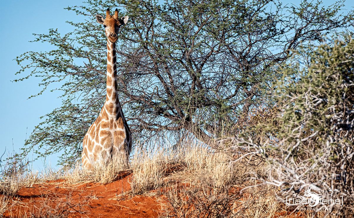 01 mariental