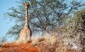 01 mariental