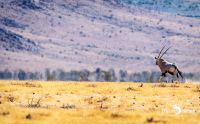 01 mariental