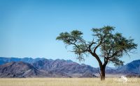 01 mariental