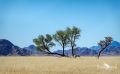 01 mariental