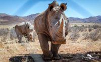 01 mariental