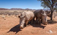 01 mariental
