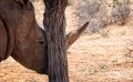 01 mariental