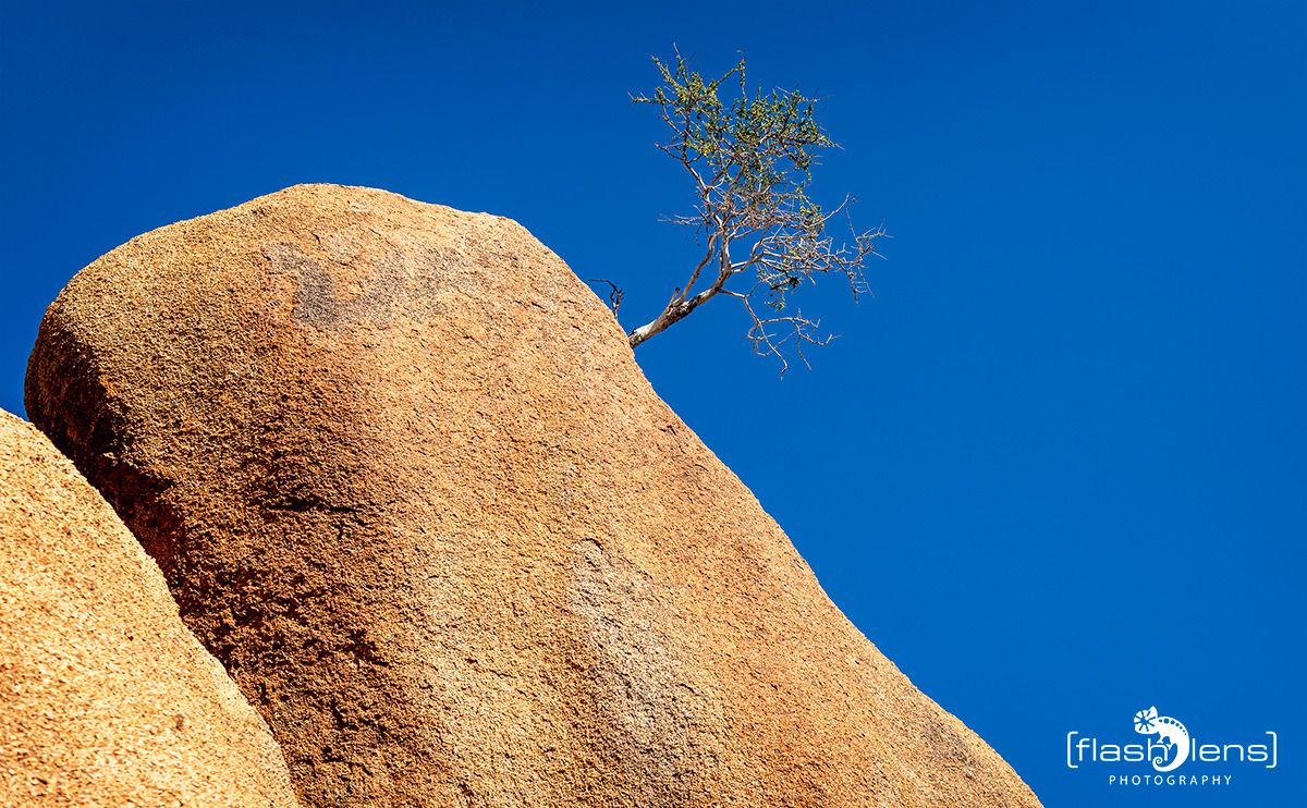 06 spitzkoppe