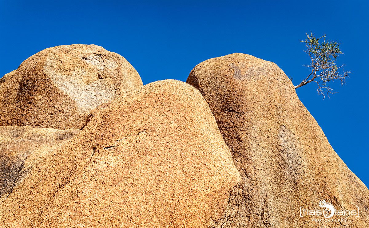 06 spitzkoppe