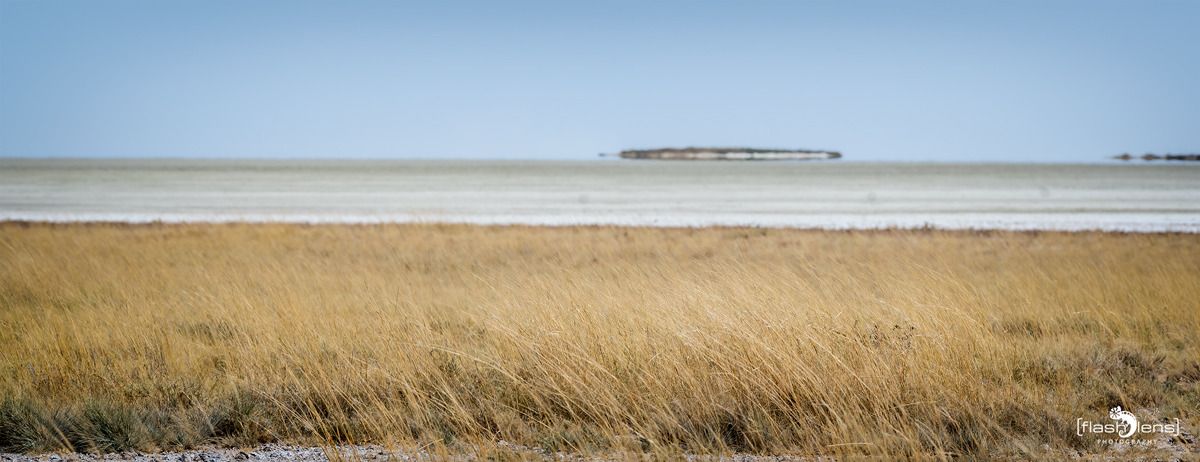 10 etosha